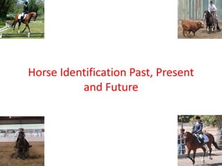 6/4/2017
Horse Identification Past, Present
and Future
Dr. Katie Flynn
Equine Staff Veterinarian
Animal Health Branch
California Department of Food and Agriculture
 