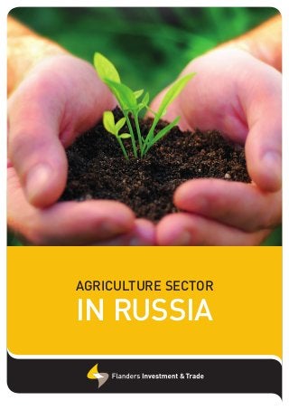 AGRICULTURE SECTOR

IN RUSSIA

 