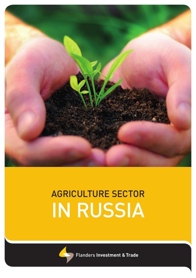 Russian Agriculture sector