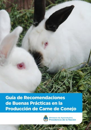 Guía de Recomendaciones
de Buenas Prácticas en la
Producción de Carne de Conejo
Ministerio de Agroindustria
Presidencia de la Nación
 
