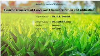 Genetic resources of Curcuma: Characterization and utilization
Anand Agricultural University
Major Guide : Dr. H.L. Dhaduk
Minor Guide : Dr. Sushil Kumar
Speaker : Sampath. L
Date & time : 17/02/2021
1
 