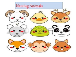 Naming Animals
 