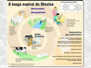 -BioacumulaçãoBioacumulação
-Biomagnificação-Biomagnificação
 