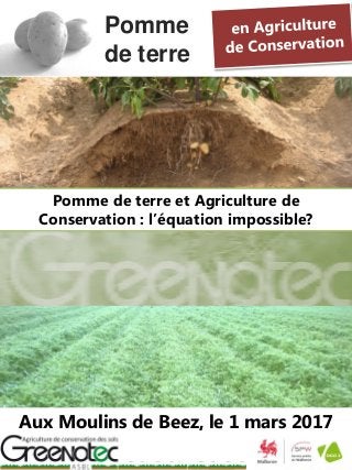 Aux Moulins de Beez, le 1 mars 2017
Pomme de terre et Agriculture de
Conservation : l’équation impossible?
Pomme
de terre
 