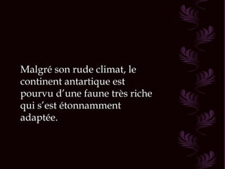 Malgré son rude climat, le
continent antartique est
pourvu d’une faune très riche
qui s’est étonnamment
adaptée.
 
