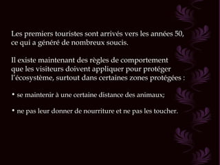 Les premiers touristes sont arrivés vers les années 50,
ce qui a généré de nombreux soucis.

Il existe maintenant des règles de comportement
que les visiteurs doivent appliquer pour protéger
l’écosystème, surtout dans certaines zones protégées :

• se maintenir à une certaine distance des animaux;

• ne pas leur donner de nourriture et ne pas les toucher.
 