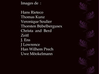 Images de :

Hans Rieteco
Thomas Kunz
Veronique Soulier
Thorsten Bübelbergusex
Christa and Berd
Zeitl
J. Ens
J Lowrence
Han Wilhem Prech
Uwe Möokelmann
 