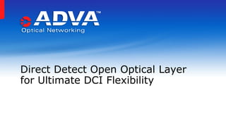 Direct Detect Open Optical Layer
for Ultimate DCI Flexibility
 