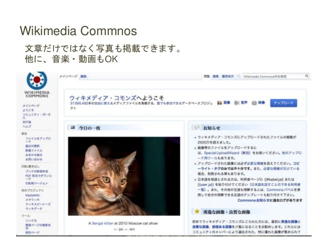 1703 Wikipedia Lib 編集とマークアップ 1703 Wikipedia Lib 編集とマークアップ
