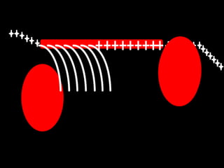 17
0 0 0 0
0
0
0
0
0
0
000
000
 