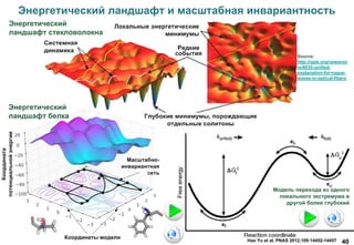40
Энергетический ландшафт и масштабная инвариантность
Hao Yu et al. PNAS 2012;109:14452-14457
Source:
http://spie.org/newsroo
m/6035-unified-
explanation-for-rogue-
waves-in-optical-fibers
Энергетический
ландшафт белка
Энергетический
ландшафт стекловолокна
Модель перехода из одного
локального экстремума в
другой более глубокий
 