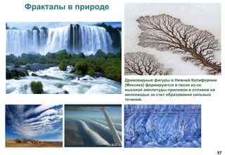 57
Фракталы в природе
Древовидные фигуры в Нижней Калифорнии
(Мексика) формируются в песке из-за
высокой амплитуды приливов и отливов на
мелководье за счет образования сильных
течений.
 