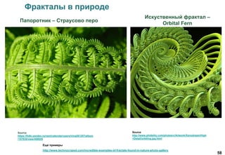 58
Фракталы в природе
Папоротник – Страусово перо
Искуственный фрактал –
Orbital Fern
Source
https://fotki.yandex.ru/next/calendar/users/irina261207/album
/157835/view/458029
Source
http://www.phidelity.com/photos/v/Artwork/Xenodream/High
+Detail/orbiting.jpg.html
Еще примеры
http://www.technocrazed.com/incredible-examples-of-fractals-found-in-nature-photo-gallery
 