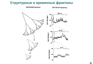 60
Структурные и временные фракталы
 