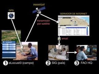 SIG (país)2
email
SERVIDOR DE INTERNET
INMARSAT
transmisión
por satélite
eLocust3 (campo)
GPS
FAO HQ1 3
 