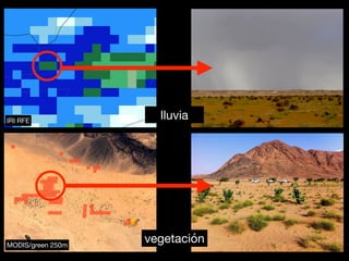 lluvia
vegetaciónMODIS/green 250m
IRI RFE
 