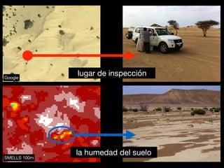 la humedad del suelo
lugar de inspección
SMELLS 100m
Google
 