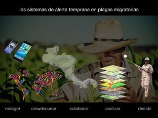 recoger crowdsource colaborar analizar decidir
los sistemas de alerta temprana en plagas migratorias
 