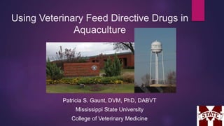 Using Veterinary Feed Directive Drugs in
Aquaculture
Patricia S. Gaunt, DVM, PhD, DABVT
Mississippi State University
College of Veterinary Medicine
 