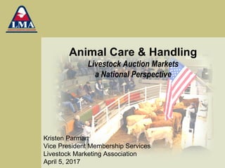 Animal Care & Handling
Livestock Auction Markets
a National Perspective
Kristen Parman
Vice President Membership Services
Livestock Marketing Association
April 5, 2017
 