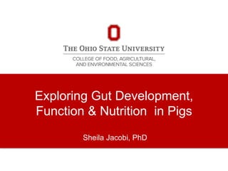 Exploring Gut Development,
Function & Nutrition in Pigs
Sheila Jacobi, PhD
 
