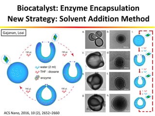 New Strategy: Solvent Addition Method
Biocatalyst: Enzyme Encapsulation
Gajanan, Loai
ACS Nano, 2016, 10 (2), 2652–2660
 
