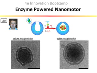 Enzyme Powered Nanomotor
before encapsulation after encapsulation
Loai
4e Innovation Bootcamp
 