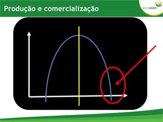 Produção e comercialização
 
