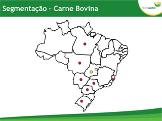 Segmentação – Carne Bovina
 