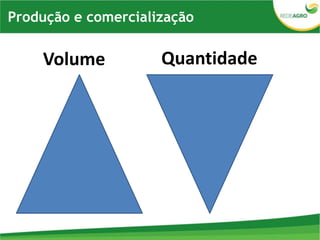 Volume Quantidade
Produção e comercialização
 
