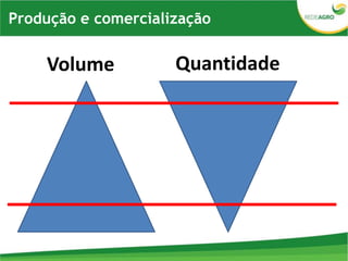 Volume Quantidade
Produção e comercialização
 