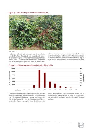 100 CONAB | ACOMPANHAMENTO DA SAFRA BRASILEIRA DE CAFÉ | v. 3 - Safra 2016, n. 2 - segundo levantamento, maio 2017.
Figura 53 – Café pronto para a colheita em Ibatiba/ES
Gráfico 53 – Estimativa mensal de colheita de café na Bahia
Fonte: Conab
Fonte: Conab
Na Bahia o calendário é extenso, iniciando a colheita
em abril (5,2%) e finalizando em novembro. O cerra-
do e o atlântico possuem concentração de colheita de
abril a julho. O calendário estende-se até novembro
em razãoda região do planalto. Além de ter o calen-
dário mais extenso, as chuvas ocorridas de fevereiro
a abril nesta região estimularam a floradas tardias, o
que deve alterar o calendário de colheita na região,
que afetou positivamente o enchimento dos grãos
-
5,0
10,0
15,0
20,0
25,0
30,0
35,0
40,0
-
200,0
400,0
600,0
800,0
1.000,0
1.200,0
JAN FEV MAR ABR MAI JUN JUL AGO SET OUT NOV DEZ
Empercentual
Emmilsacasbeneficiadas
Em Rondônia foram colhidas em torno de 10% da área
em março e 30% em abril, totalizando até o momento
cerca de 40% de toda a safra colhida. Em maio deve-
rão ser colhidos 45% e em junho os outros 15% res-
tantes. Em alguns municípios parte da colheita está
sendo feita de forma semi mecanizada, com o uso de
colhedoras. A oferta de mão de obra, inclusive com a
participação de mulheres,atende à demanda dos pro-
dutores.
 