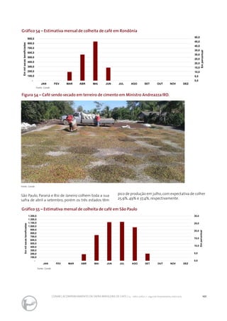 101CONAB | ACOMPANHAMENTO DA SAFRA BRASILEIRA DE CAFÉ | v.3 - Safra 2016,n. 2 - segundo levantamento, maio 2017..
Gráfico 54 – Estimativa mensal de colheita de café em Rondônia
Figura 54 – Café sendo secado em terreiro de cimento em Ministro Andreazza/RO.
Gráfico 55 – Estimativa mensal de colheita de café em São Paulo
0,0
5,0
10,0
15,0
20,0
25,0
30,0
35,0
40,0
45,0
50,0
-
100,0
200,0
300,0
400,0
500,0
600,0
700,0
800,0
900,0
JAN FEV MAR ABR MAI JUN JUL AGO SET OUT NOV DEZ
Empercentual
Emmilsacasbeneficiadas
Fonte: Conab
Fonte: Conab
Fonte: Conab
São Paulo, Paraná e Rio de Janeiro colhem toda a sua
safra de abril a setembro, porém os três estados têm
pico de produção em julho, com expectativa de colher
25,9%, 49% e 37,4%, respectivamente.
0,0
5,0
10,0
15,0
20,0
25,0
30,0
-
100,0
200,0
300,0
400,0
500,0
600,0
700,0
800,0
900,0
1.000,0
1.100,0
1.200,0
1.300,0
JAN FEV MAR ABR MAI JUN JUL AGO SET OUT NOV DEZ
Empercentual
Emmilsacasbeneficiadas
 