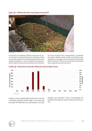 103CONAB | ACOMPANHAMENTO DA SAFRA BRASILEIRA DE CAFÉ | v.3 - Safra 2016,n. 2 - segundo levantamento, maio 2017..
Figura 56 – Colheita de café em produção em Garça/SP
Gráfico 58 – Estimativa mensal de colheita de café em Mato Grosso
Fonte: Conab
Fonte: Conab
O calendário de colheita em Mato Grosso tem seu iní-
cio em abril e se estende até junho. Contudo, na safra
2017, devido à grande concentração pluviométrica nas
regiões produtoras, o início da colheita foi prejudica-
do,com apenas 5% das áreas colhidas até o momento.
As chuvas também têm comprometido a qualidade
dos grãos colhidos devido à falta de estrutura ade-
quada para a secagem e armazenamento do produto
pelos produtores. O término da colheita está previsto
para a segunda quinzena de junho.
0,0
5,0
10,0
15,0
20,0
25,0
30,0
35,0
40,0
45,0
-
10,0
20,0
30,0
40,0
50,0
60,0
70,0
JAN FEV MAR ABR MAI JUN JUL AGO SET OUT NOV DEZ
Empercentual
Emmilsacasbeneficiadas
Goiás é o único estado onde ainda não se iniciou
a colheita, devendo colher toda a sua safra até
princípio de setembro. Já o Amazonas é um dos
estados que possuem maior concentração da
colheita, com apenas quatro meses, de abril a ju-
lho.
 