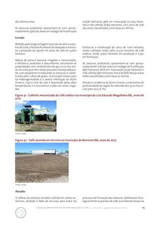 65CONAB | ACOMPANHAMENTO DA SAFRA BRASILEIRA DE CAFÉ | v.3 - Safra 2016,n. 2 - segundo levantamento, maio 2017..
dos últimos anos.
As lavouras produtivas apresentam-se com aproxi-
madamente 39% das áreas em estágio de frutificação
(17.676 hectares), 46% em maturação (21.004 hecta-
res) e 15% colhida (6.841 hectares), com cerca de 72%
das áreas classificadas como boas ou ótimas.
Cerrado
Afetado pela longa estiagem ocorrida de abril a outu-
bro de 2016,a florada foi abaixo do desejado e estima-
se a produção de 290,87 mil sacas de café em 9.670
hectares.
Apesar de possuir lavouras irrigadas e mecanizadas,
a eficiência produtiva é desuniforme, encontram-se
propriedades com rendimentos de 49 a 10 sc/ha, ten-
do em vista que nem todas possuem manejo adequa-
do, com produtores erradicando as lavouras e substi-
tuindo pelo cultivo de grãos. O principal motivo para
tal heterogeneidade é a severa infestação do bicho
mineiro, cujo o ciclo de vida é favorecido pelas altas
temperaturas e o microclima criado nas áreas irriga-
das.
Estima-se a erradicação de cerca de 1.100 hectares,
sendo cultivado nesta safra 13.020 hectares de café
arábica, sendo 9.670 hectares em produção e 3.350
em formação.
As lavouras produtivas apresentam-se com aproxi-
madamente 10% das áreas em estágio de frutificação
(967 hectares), 80% em maturação (7.736 hectares) e
10% colhida (967 hectares). Cerca de 85% dessas áreas
estão classificadas como boas ou ótimas.
Devido à incidência do bicho mineiro, a estimativa de
produtividade da região foi reduzida dos 35 sc/ha ini-
ciais para 30,5 sc/ha.
Figura 31 - Colheita mecanizada do café arábica no município de Luiz Eduardo Magalhães/BA,, maio de
2017
Figura 32 - Café secando em terreiro no município de Barreiras/BA, maio de 2017.
Fonte: Conab.
Fonte: Conab.
Planalto
O reflexo do estresse climático sofrido em safras an-
teriores, atrelado à falta de recursos para tratar do
processo de formação das lavouras, debilitaram fisio-
logicamente as plantas de café,acarretando atraso na
 