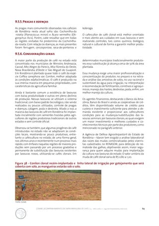 69CONAB | ACOMPANHAMENTO DA SAFRA BRASILEIRA DE CAFÉ | v.3 - Safra 2016,n. 2 - segundo levantamento, maio 2017..
9.5.5. Pragas e doenças
As pragas mais comumente observadas nos cafezais
de Rondônia nesta atual safra são: Cochonilha-da
-roseta (Planococcus minor) e Ácaro vermelho (Oli-
gonychus ilicis). Porém, cabe ressaltar que em todas
as regiões visitadas há predomínio da Cochonilha-
da-roseta. Com relação às doenças, as mais presentes
foram ferrugem, cercosporiose, seca-de-ponteiros e
koleroga.
O cafeicultor de café clonal está melhor orientado
e mais atento aos cuidados em suas lavouras e vem
realizando controles, tais como: químico, biológico,
natural e cultural de forma a garantir melhor produ-
tividade.
9.5.6. Considerações gerais
A maior parte da produção de café no estado está
concentrada nos municípios de Ministro Andreazza,
Cacoal, Alto Alegre do Parecis, Alta Floresta do Oeste,
Nova Brasilândia d’Oeste e São Miguel do Guaporé.
Em Rondônia é plantado quase todo o café da espé-
cie Coffea canephora var. Conilon, melhor adaptada
às condições edafoclimáticas. O café é produzido na
sua imensa maioria em pequenas propriedades, com
caraterísticas da agricultura familiar.
Ainda é bastante comum a existência de lavouras
com baixa produtividade e outras em pleno declínio
de produção. Nessas lavouras se utilizam o sistema
tradicional, com baixo padrão tecnológico, não sendo
realizados ou poucos utilizados, controle de pragas
e doenças, calagem, poda e desbrota. Aliado a isso, a
maioria das lavouras de café em Rondônia foi implan-
tada inicialmente com sementes trazidas pelos agri-
cultores de regiões produtoras tradicionais de outros
estados e sem controle oficial.
Observou-se também,que algumas progênies de café
introduzidas no estado não se adaptaram às condi-
ções locais, mostrando-se pouco produtivas, entre-
tanto a cafeicultura no estado, de uma forma geral,
nos últimos anos e recentemente num processo mais
rápido, com ênfases naquelas regiões de maiores pro-
duções vem passando por um processo gradativo e
permanente de substituição das lavouras existentes
por lavouras novas, utilizando-se cafés clonais. Em
determinados municípios tradicionalmente produto-
res essa substituição já alcança cerca de 50% da área
plantada. 	
Essa mudança exige uma maior profissionalização e
conscientização do produtor, no preparo e na retira-
da e análise das amostras de solos, no uso racional e
sustentável da água para irrigação, na interpretação
e recomendação de fertilizantes, corretivos e agroquí-
micos, manejo das hastes, desbrotas, poda, enfim, um
melhor manejo da cultura.
Os agentes financeiros, destacando o Banco da Ama-
zônia, Banco do Brasil e ainda as cooperativas de cré-
ditos, têm disponibilizado volume de crédito para
custeio e investimento suficiente para atender a de-
manda existente e proporcionar aos cafeicultores
condições para as mudanças/substituições das la-
vouras seminais por lavouras clonais, as quais exigem
um maior investimento e melhores cuidados e co-
nhecimentos técnicos por parte dos produtores,como
mencionado no parágrafo anterior.
A Agência de Defesa Agrosilvipastoril do Estado de
Rondônia – Idaron tem exigido a análise laboratorial
das raízes das mudas comercializadas pelos viveiris-
tas cadastrados no RENASEM, para detecção do ne-
matoide das galhas, objetivando assim, maior segu-
rança para quem adquire mudas para implantação
da cultura nas lavouras do estado. O valor unitário da
muda de café clonal varia de R$ 0,80 a 1,20.
Figura 38 - Conilon clonal recém-implantado e linha lateral de irrigação por gotejamento que será
coberta com solo, as mangueiras estarão sob o solo.
Fonte: Conab.
 