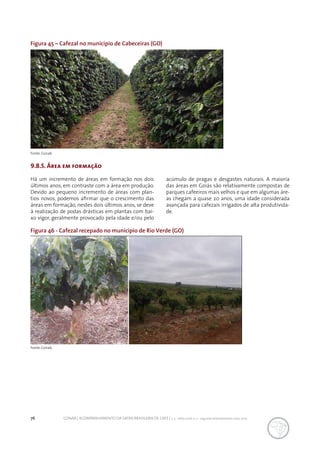 76 CONAB | ACOMPANHAMENTO DA SAFRA BRASILEIRA DE CAFÉ | v. 3 - Safra 2016, n. 2 - segundo levantamento, maio 2017.
Figura 45 – Cafezal no município de Cabeceiras (GO)
9.8.5. Área em formação
Há um incremento de áreas em formação nos dois
últimos anos, em contraste com a área em produção.
Devido ao pequeno incremento de áreas com plan-
tios novos, podemos afirmar que o crescimento das
áreas em formação, nestes dois últimos anos, se deve
à realização de podas drásticas em plantas com bai-
xo vigor, geralmente provocado pela idade e/ou pelo
Fonte: Conab.
Fonte: Conab.
acúmulo de pragas e desgastes naturais. A maioria
das áreas em Goiás são relativamente compostas de
parques cafeeiros mais velhos e que em algumas áre-
as chegam a quase 20 anos, uma idade considerada
avançada para cafezais irrigados de alta produtivida-
de.
Figura 46 - Cafezal recepado no município de Rio Verde (GO)
 