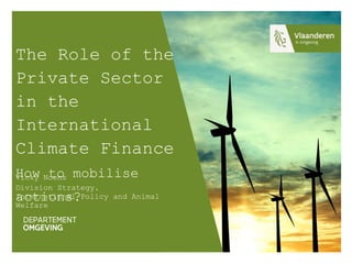 The Role of the
Private Sector
in the
International
Climate Finance
How to mobilise
actions?
Vicky Noens
Division Strategy,
International Policy and Animal
Welfare
 