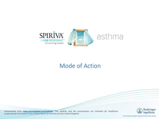 Downloaded from www.spirivaglobal.com/asthma. This website and the presentation are intended for healthcare
professionals not located in the United States of America and the United Kingdom
Mode of Action
 