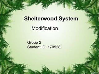 Shelterwood System
Modification
Group 2
Student ID: 170528
 