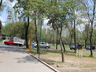 onésimo flores + rodrigo díaz
 