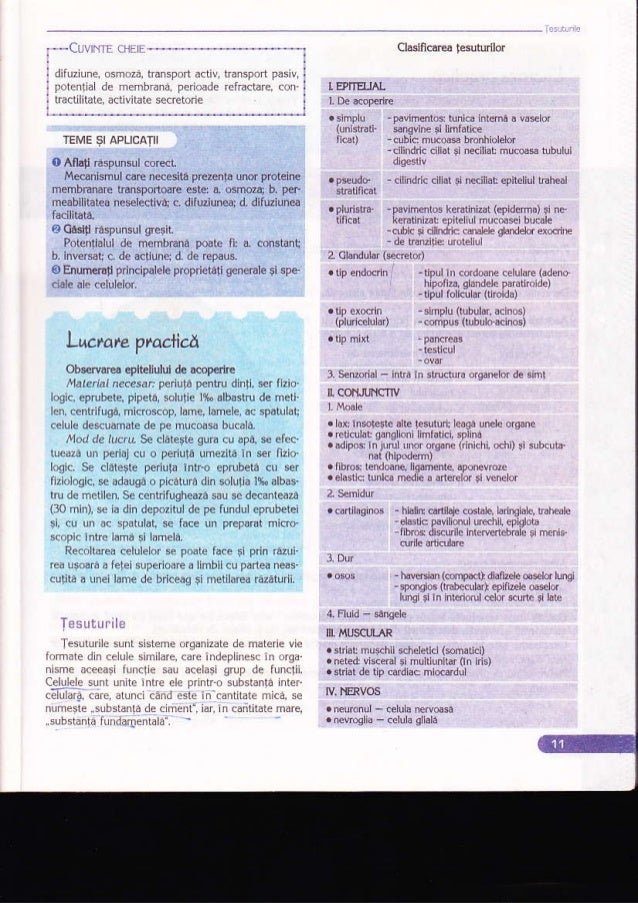 Biologie Manual Pentru Clasa A Xi A Ed Corint Biologie Manual Pentru Clasa A Xi A Ed Corint