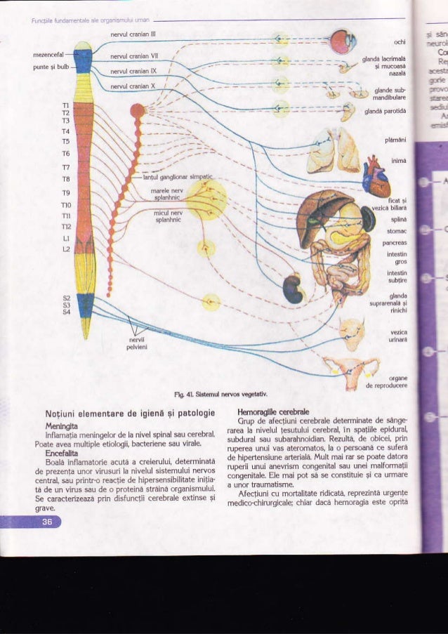 Biologie Manual Pentru Clasa A Xi A Ed Corint Biologie Manual Pentru Clasa A Xi A Ed Corint