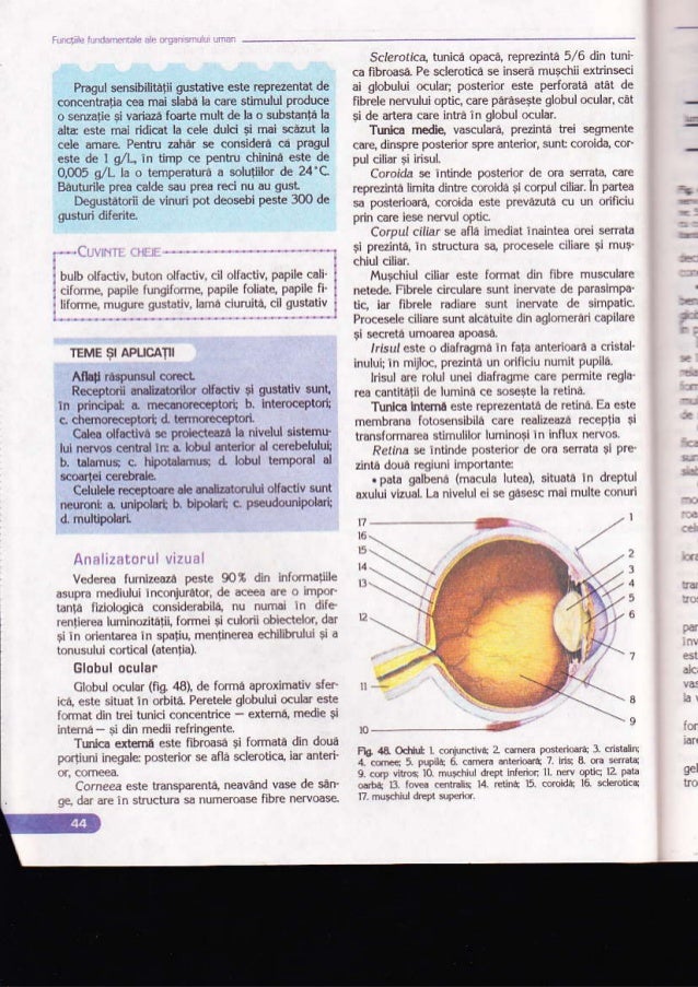 Biologie Manual Pentru Clasa A Xi A Ed Corint Biologie Manual Pentru Clasa A Xi A Ed Corint
