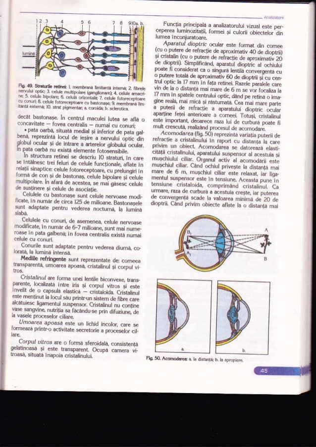 Biologie Manual Pentru Clasa A Xi A Ed Corint Biologie Manual Pentru Clasa A Xi A Ed Corint