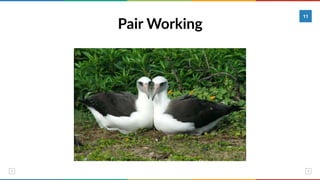 Pair Working
11
 