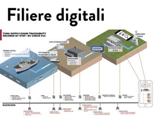 Filiere digitali
 