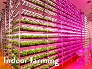 Open Economy Society
Andrea Cattabriga
twitter @andrecatta
mail andrea@slowd.it
makerspaces as paradigm for a new
sustainable economy
Indoor farming
 