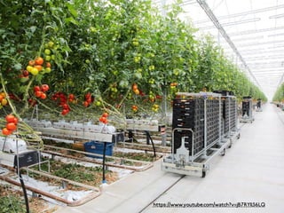 Open Economy Society
Andrea Cattabriga
twitter @andrecatta
mail andrea@slowd.it
makerspaces as paradigm for a new
sustainable economy
https://www.youtube.com/watch?v=jB7RYIlS6LQ
 