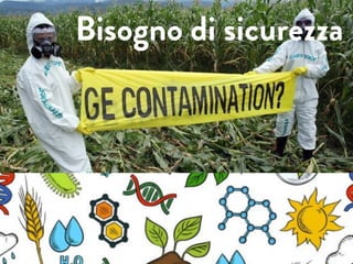 Bisogno di sicurezza
 